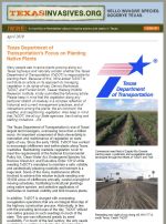 Texas Department of Transportation's Focus on Planting Native Plants