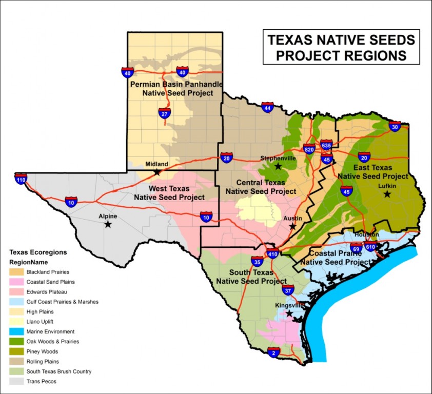 Map Of South Texas Coast - Maping Resources